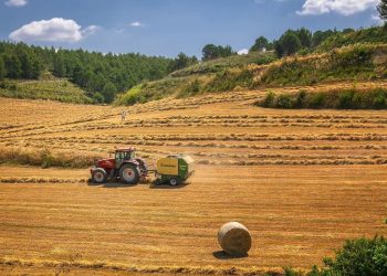 O noua sesiune de primire a proiectelor dedicata tinerilor fermieri din diaspora