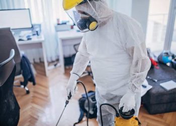 Infestarea cu insecte necesită o operaţiune de dezinsecţie profesională