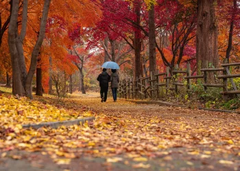 Prognoza meteo, 10 noiembrie. Vremea se răceşte semnificativ