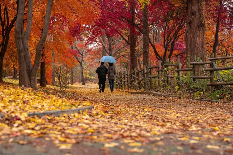 Prognoza meteo, 10 noiembrie. Vremea se răceşte semnificativ