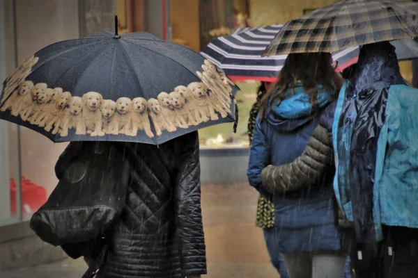 Prognoza meteo, 28 ianuarie. Vreme caldă, de primăvară. Zonele în care va ploua